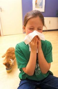 Pet allergies