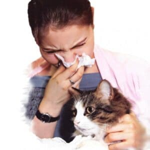 Pet Allergies Pet Allergies