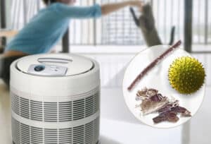 10 Questions About HEPA Air Purifiers 10 Questions About HEPA Air Purifiers